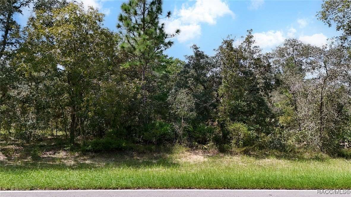 0.32 Acres of Residential Land for Sale in Homosassa, Florida