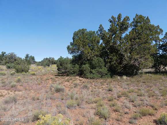 1.03 Acres of Residential Land for Sale in Williams, Arizona