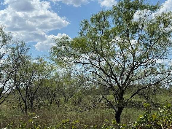 10.283 Acres of Land for Sale in Cleburne, Texas