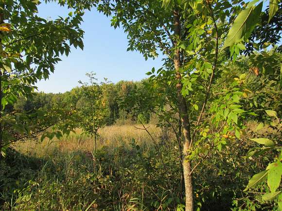 10 Acres of Recreational Land for Sale in Scottville, Michigan