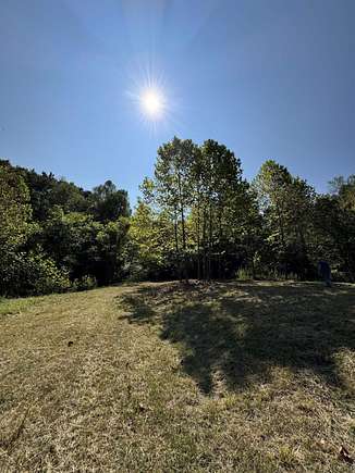 40.5 Acres of Land for Sale in Hamlin, West Virginia