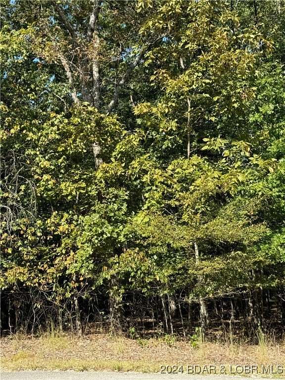 0.8 Acres of Residential Land for Sale in Jasper Township, Missouri