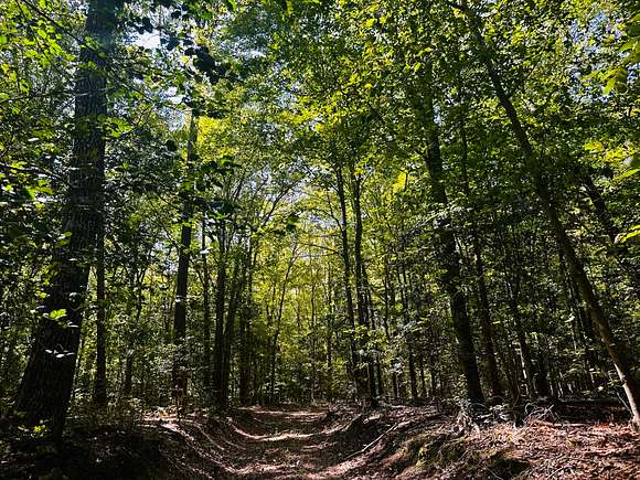 109 Acres of Recreational Land for Sale in Gloucester, Virginia