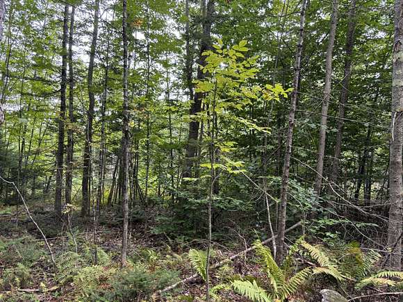 30 Acres of Recreational Land for Sale in Readfield, Maine