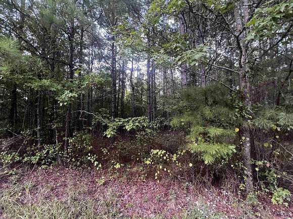 13.07 Acres of Land for Sale in White Hall, Arkansas