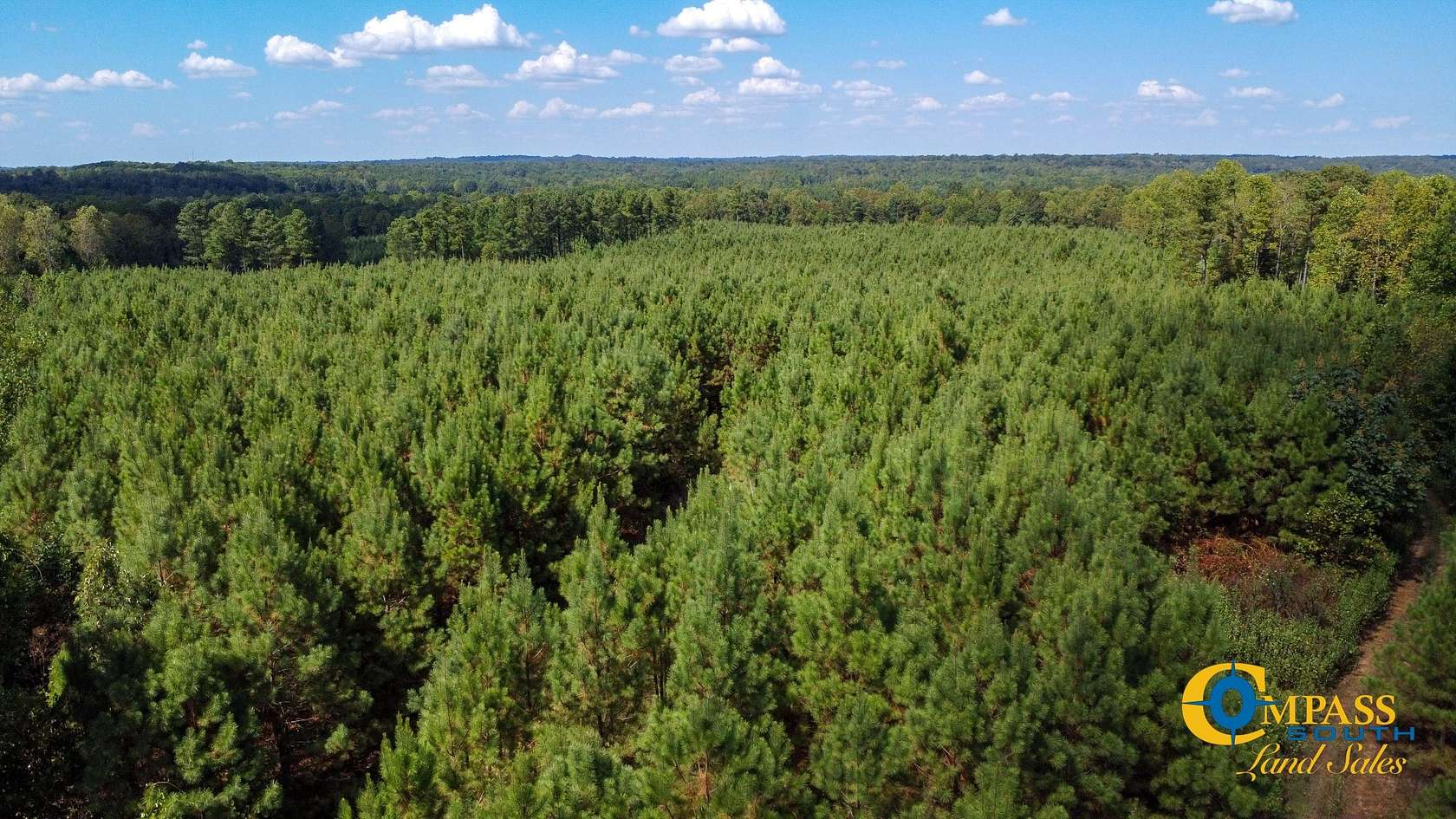 85 Acres of Recreational Land for Sale in Henry, Tennessee