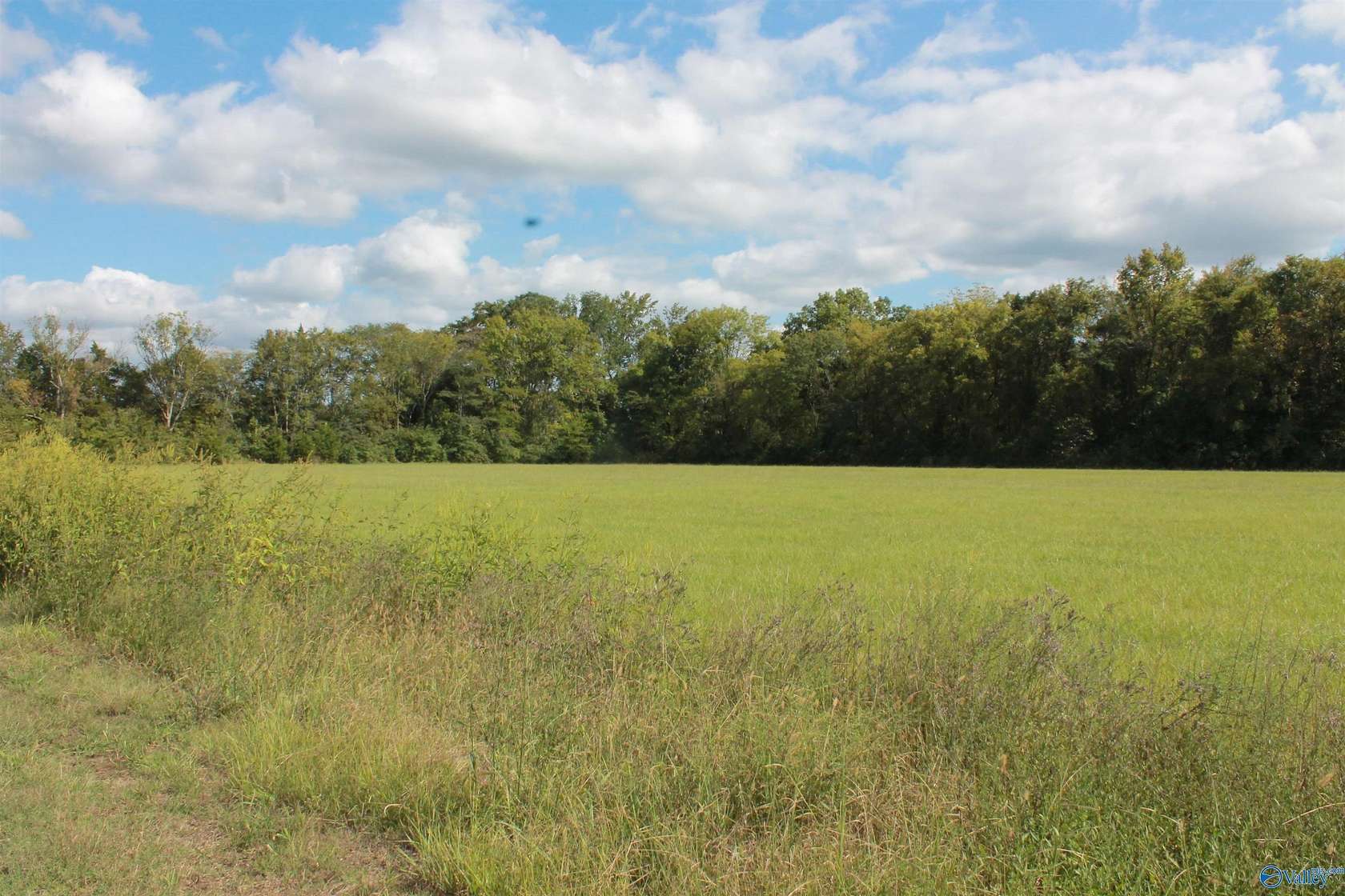 10 Acres of Land for Sale in Falkville, Alabama