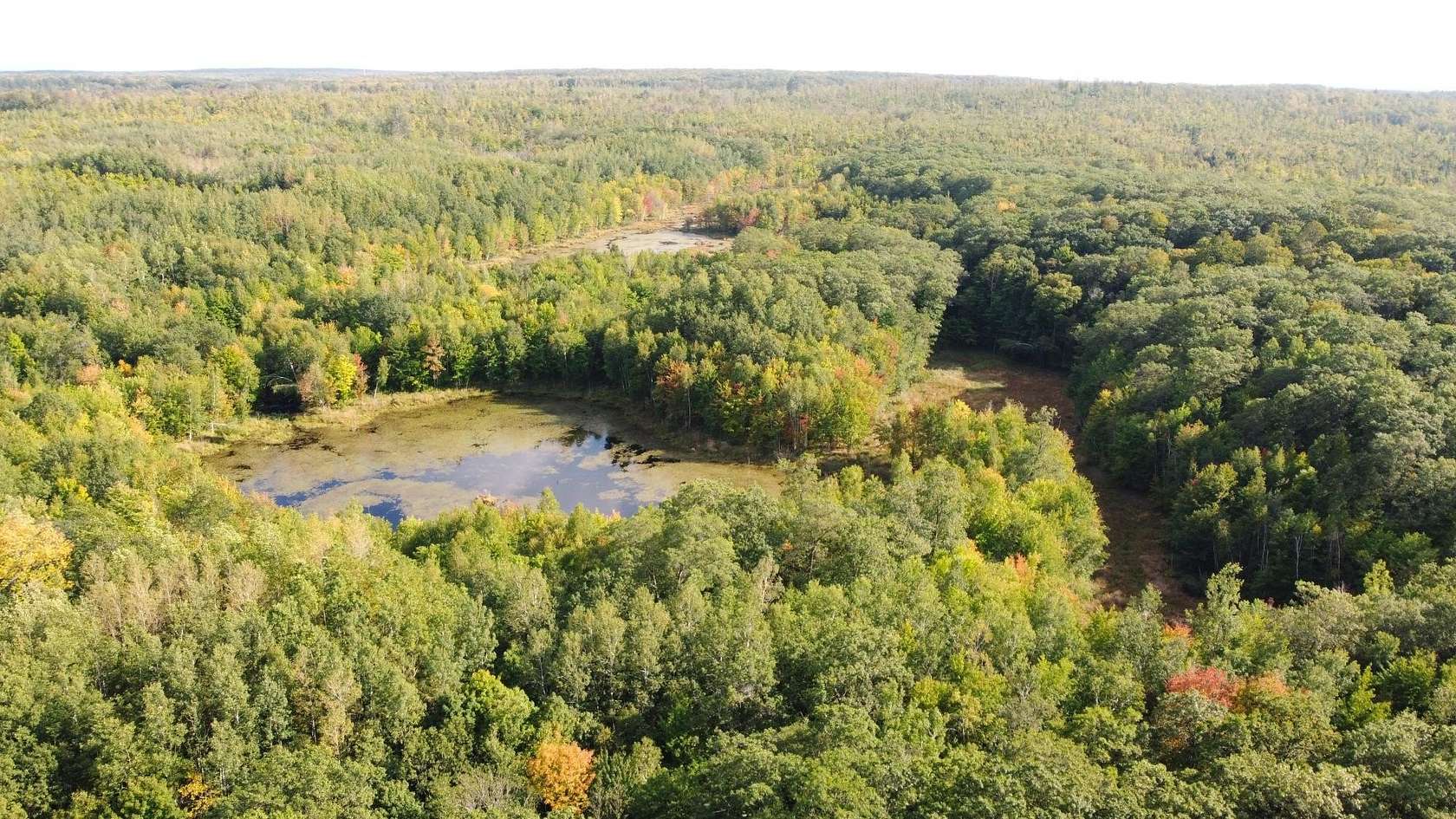 285.3 Acres of Recreational Land for Sale in Exeland, Wisconsin