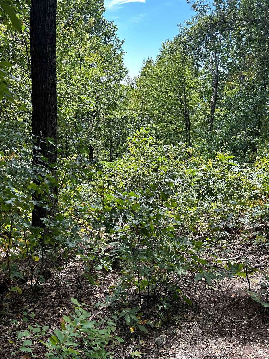 3 Acres of Residential Land for Sale in Landrum, South Carolina