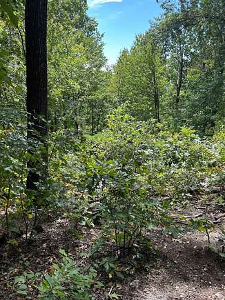 3 Acres of Residential Land for Sale in Landrum, South Carolina