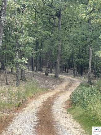 40 Acres of Land for Sale in Cole Camp, Missouri