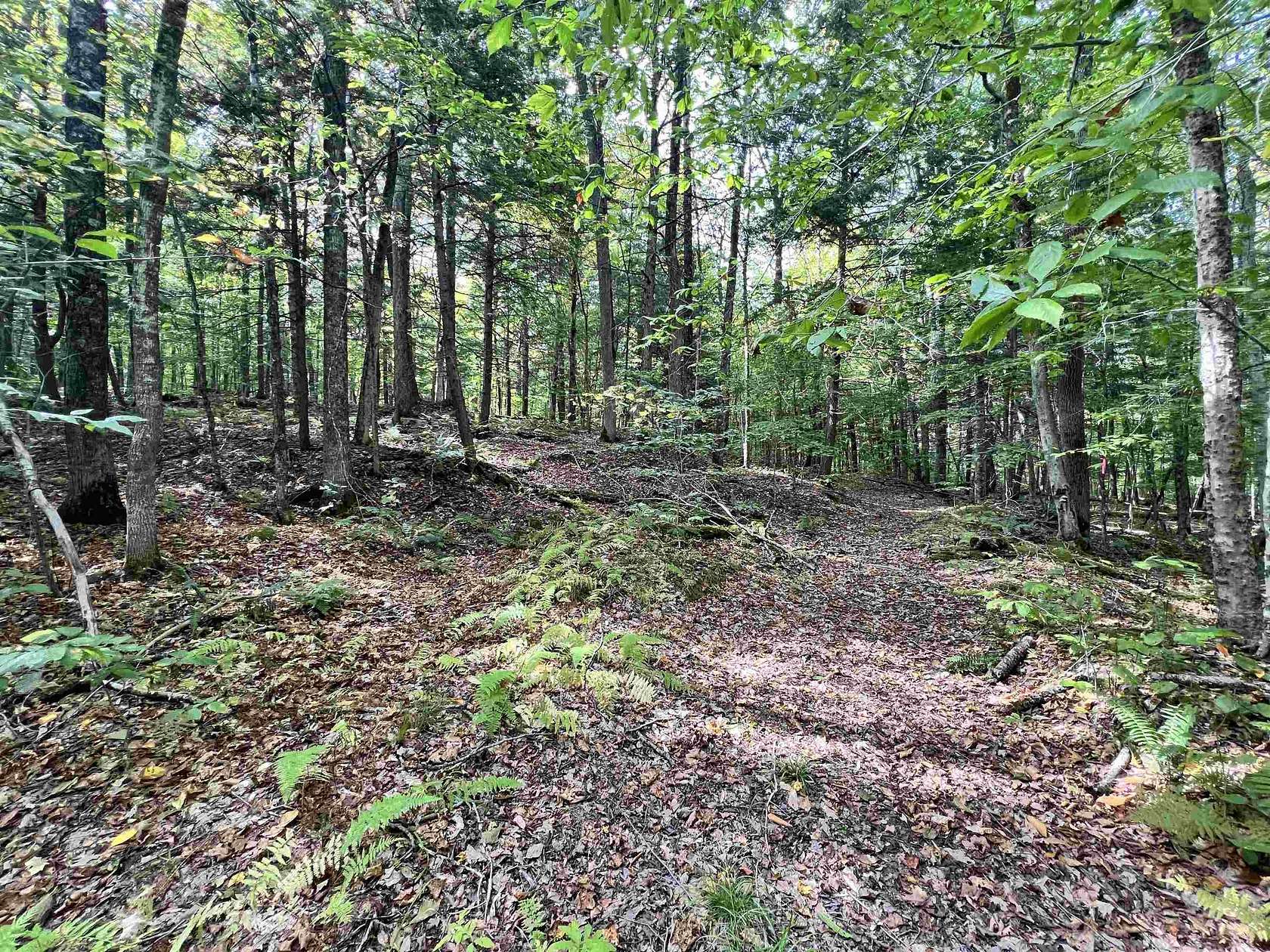 23.9 Acres of Land for Sale in Thetford Town, Vermont