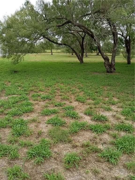 1.15 Acres of Residential Land for Sale in Riviera, Texas