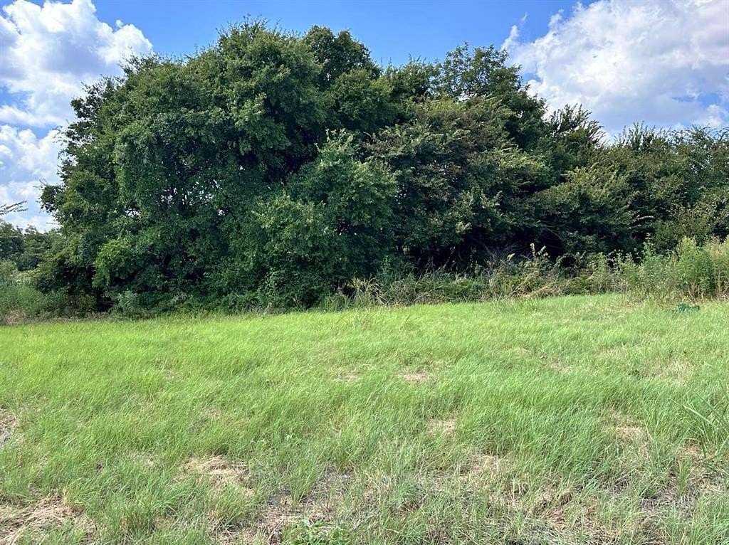 55 Acres of Recreational Land & Farm for Sale in Comanche, Texas