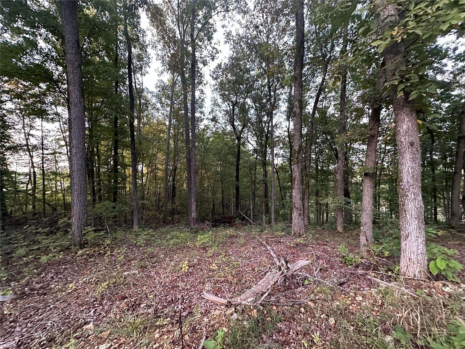 4.9 Acres of Residential Land for Sale in Williamsville, Missouri