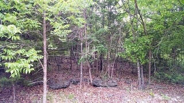 0.66 Acres of Residential Land for Sale in Galena, Missouri