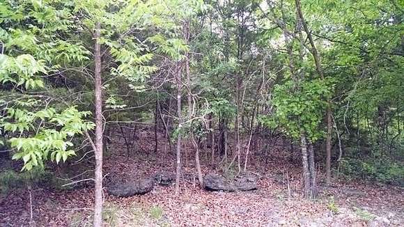 0.66 Acres of Residential Land for Sale in Galena, Missouri