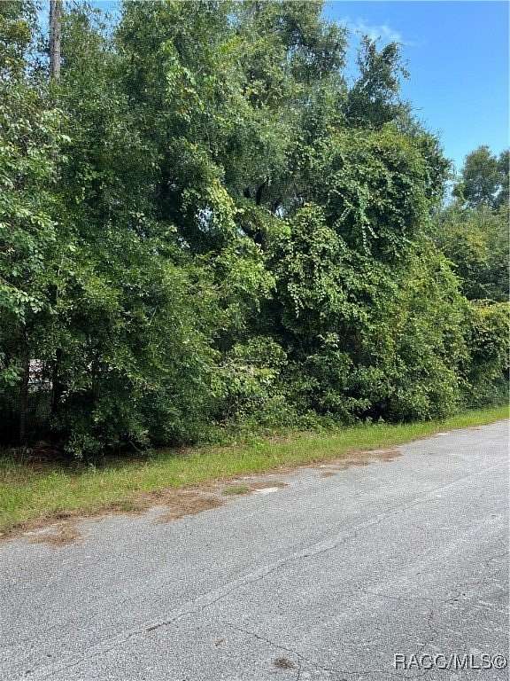 0.22 Acres of Residential Land for Sale in Inverness, Florida