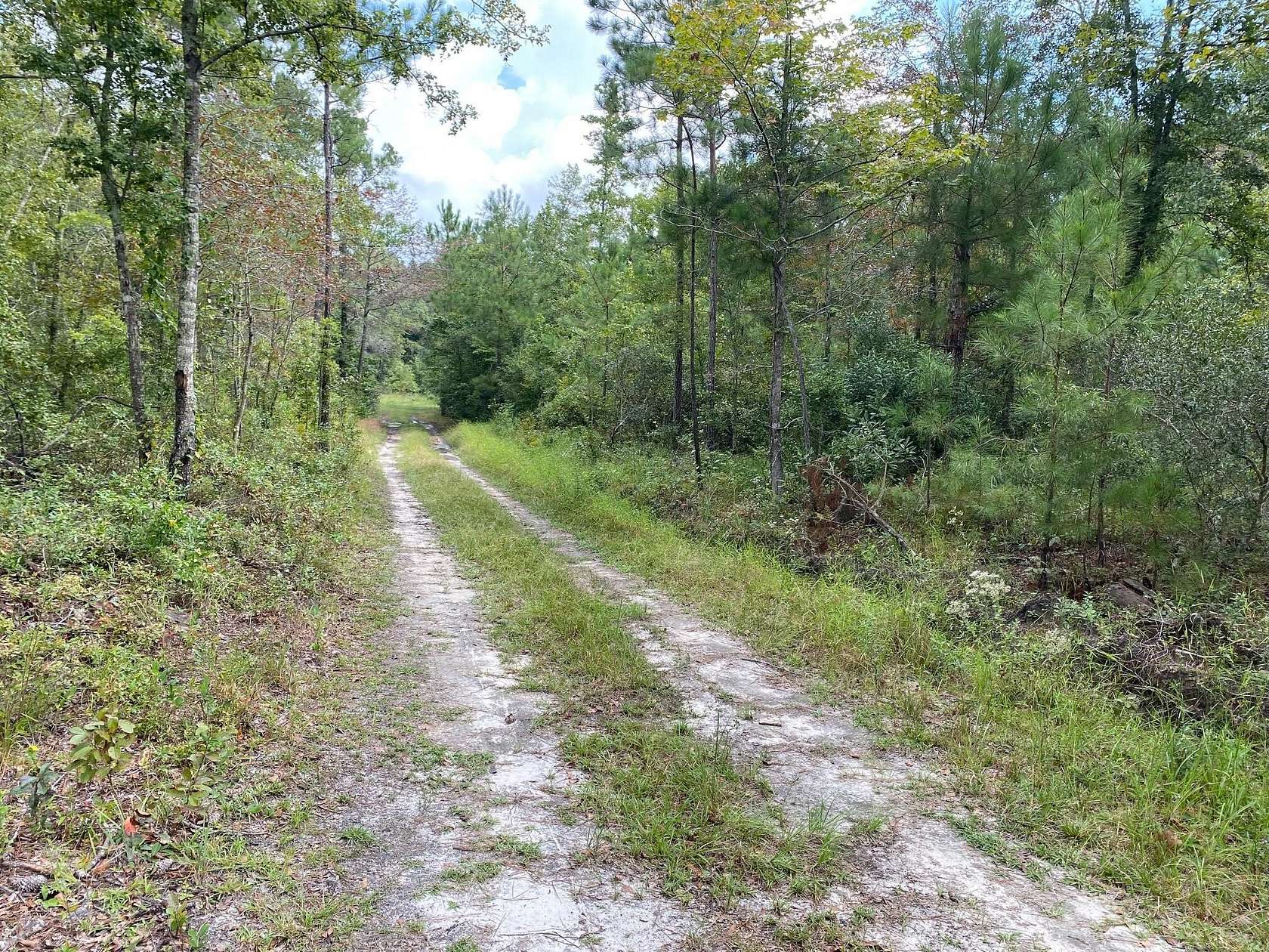 2 Acres of Residential Land for Sale in Walterboro, South Carolina