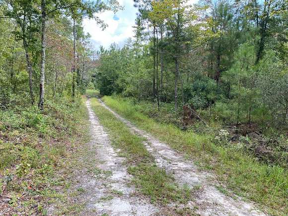 2 Acres of Residential Land for Sale in Walterboro, South Carolina