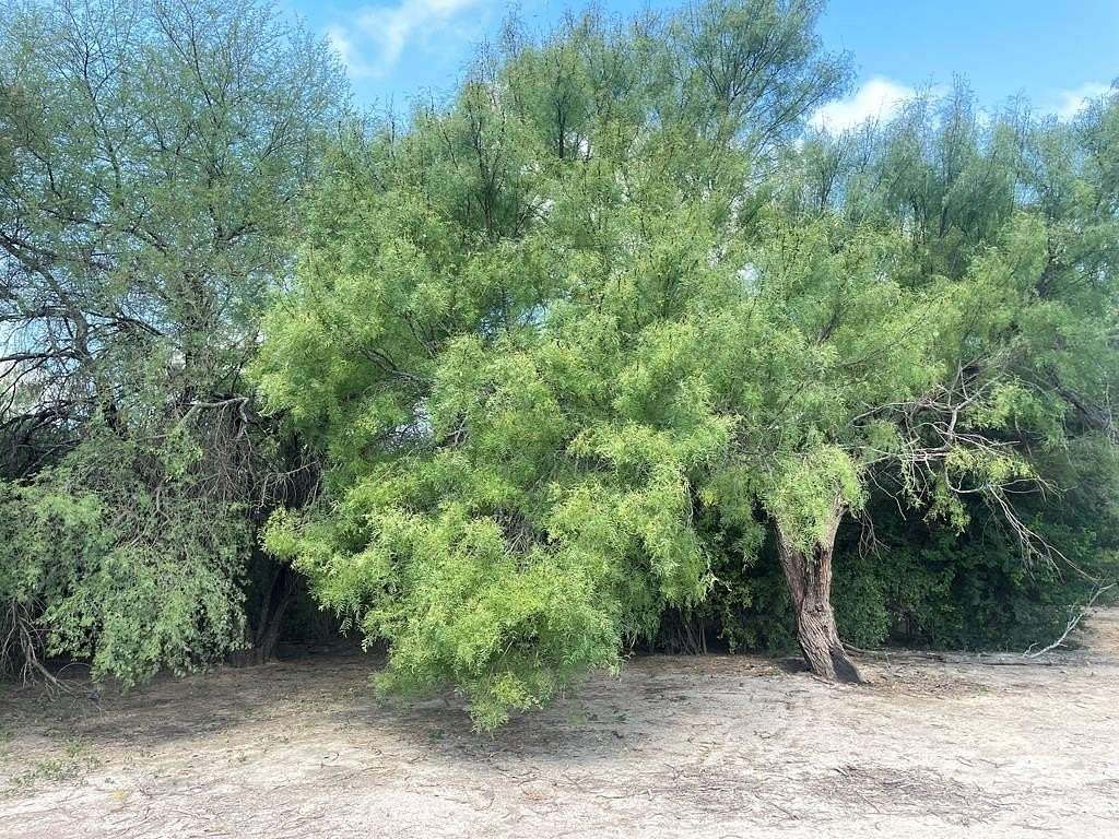 Residential Land for Sale in Crystal City, Texas