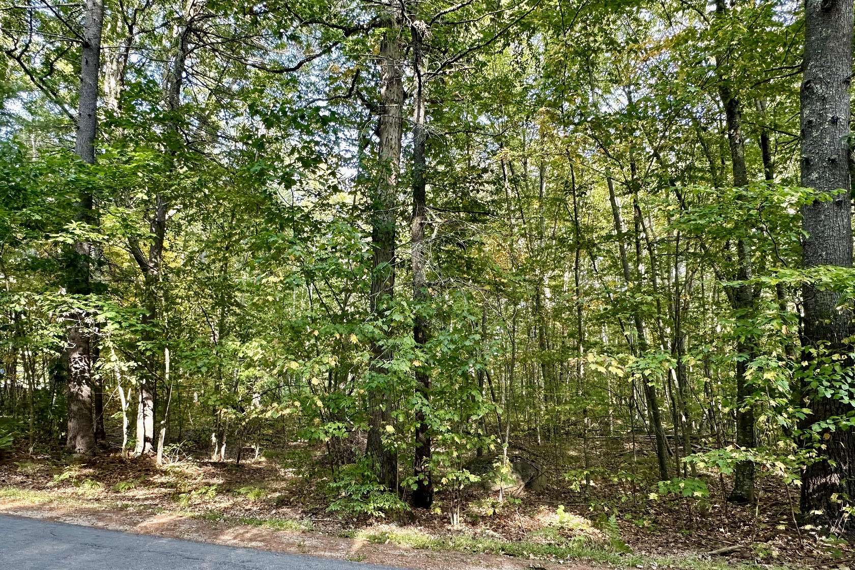 1.33 Acres of Residential Land for Sale in Somersworth, New Hampshire