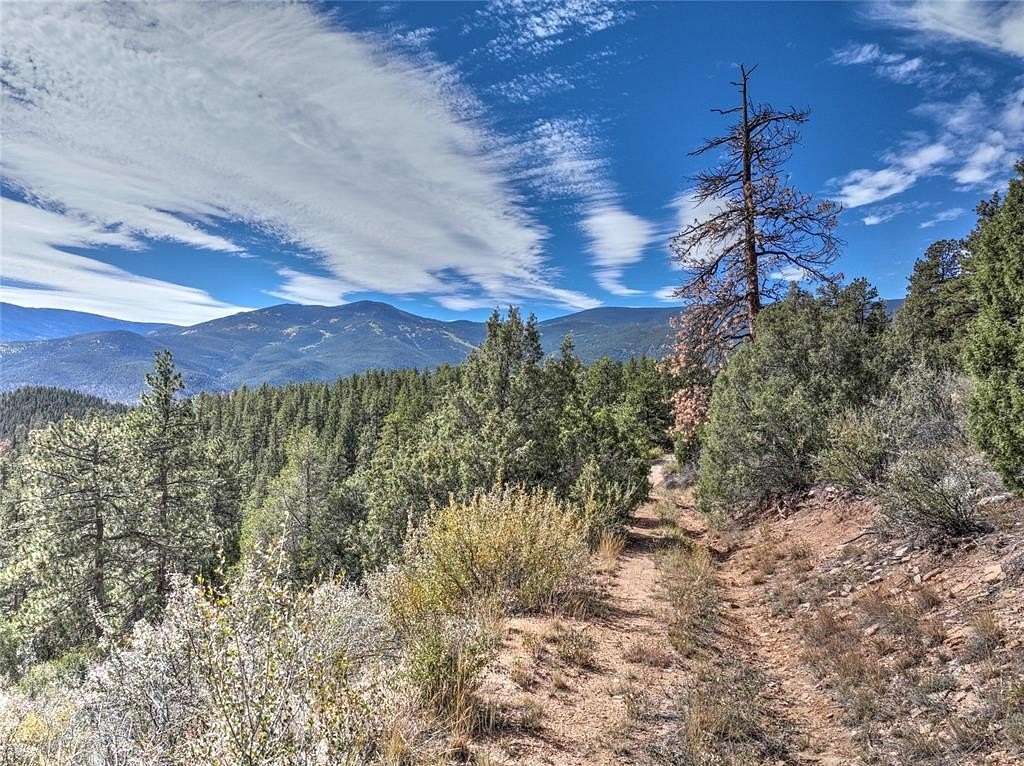 9.1 Acres of Residential Land for Sale in Bailey, Colorado