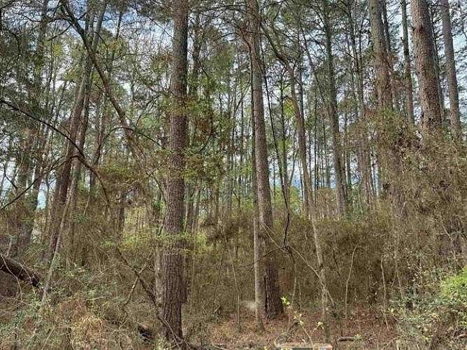 0.25 Acres of Residential Land for Sale in Hemphill, Texas