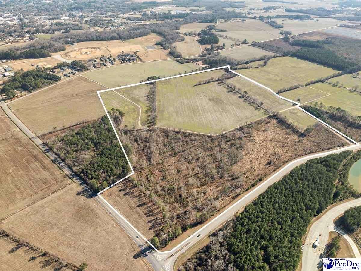 320 Acres of Land for Sale in Dillon, South Carolina