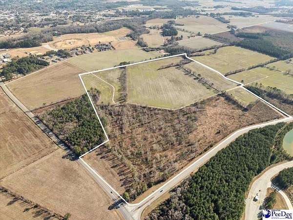 320 Acres of Land for Sale in Dillon, South Carolina