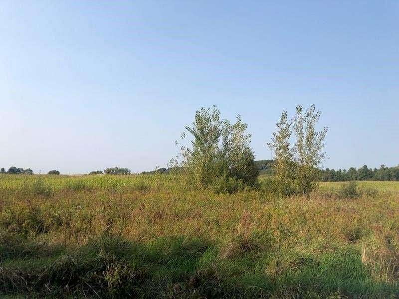 20 Acres of Recreational Land & Farm for Sale in Chippewa Falls, Wisconsin