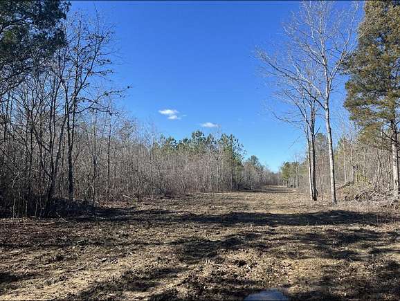 90 Acres of Recreational Land for Sale in Columbus, Mississippi