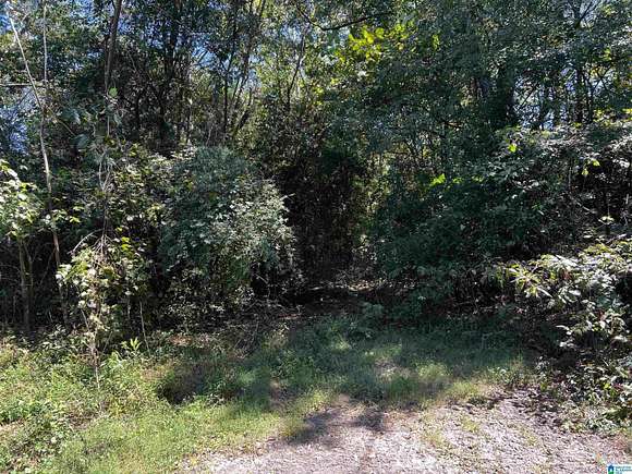 0.71 Acres of Residential Land for Sale in Bessemer, Alabama