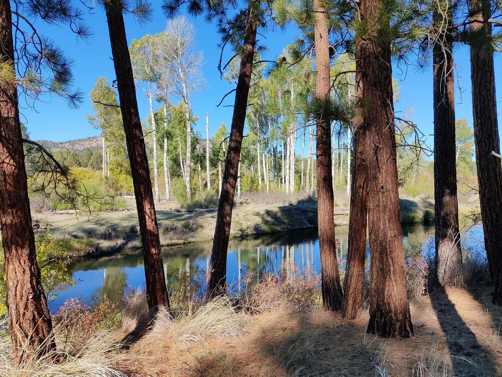 6.8 Acres of Recreational Land for Sale in Beatty, Oregon