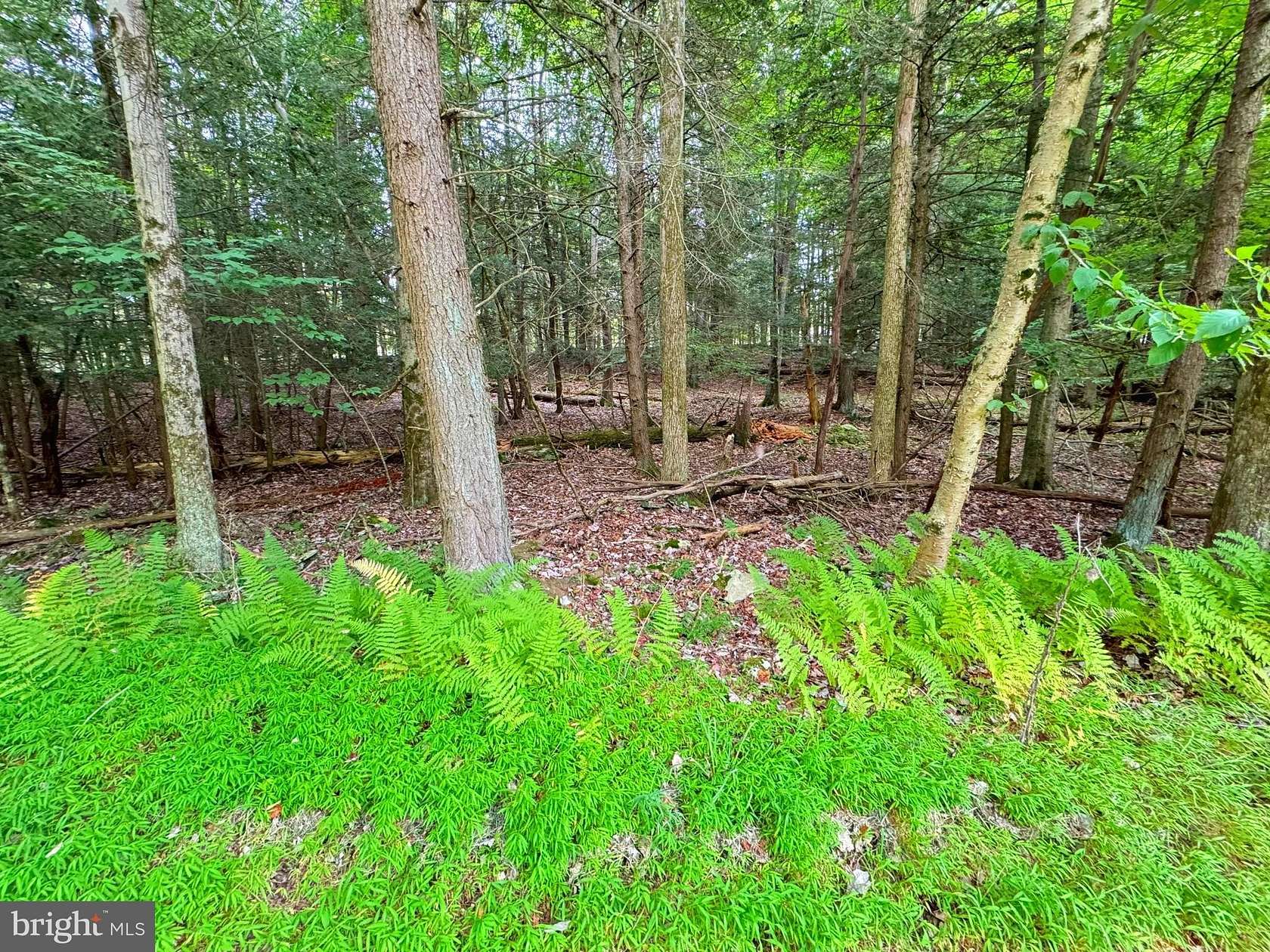 0.39 Acres of Residential Land for Sale in Lake Ariel, Pennsylvania