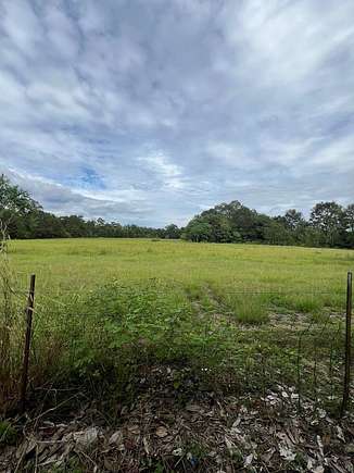 52.5 Acres of Land with Home for Sale in Poplarville, Mississippi