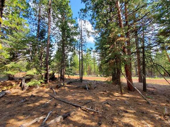 1 Acre of Residential Land for Sale in Alturas, California