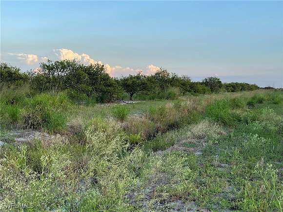 8.39 Acres of Land for Sale in LaBelle, Florida