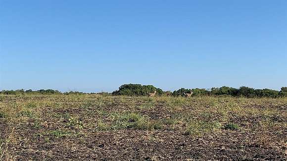 103 Acres of Land for Sale in Sherman, Texas