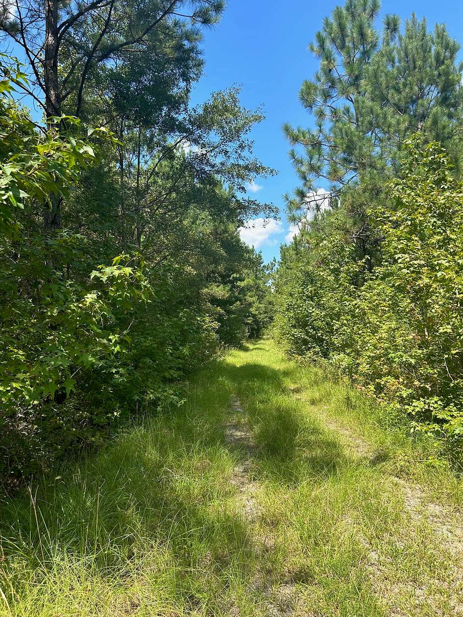 3.5 Acres of Residential Land for Sale in Trio, South Carolina