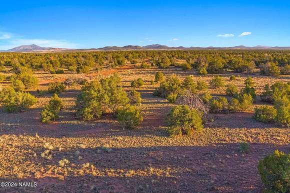 36.3 Acres of Recreational Land for Sale in Williams, Arizona