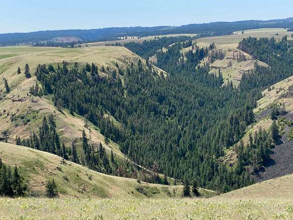 2,067 Acres of Recreational Land & Farm for Sale in Asotin, Washington