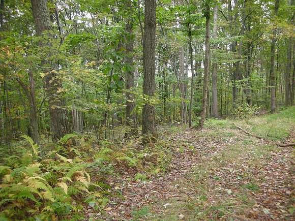 0.85 Acres of Residential Land for Sale in White Sulphur Springs, West Virginia