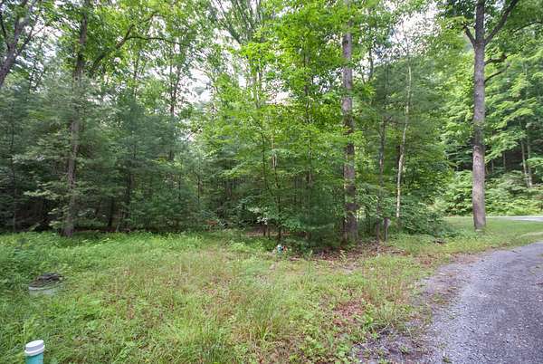 2 Acres of Residential Land for Sale in White Sulphur Springs, West Virginia