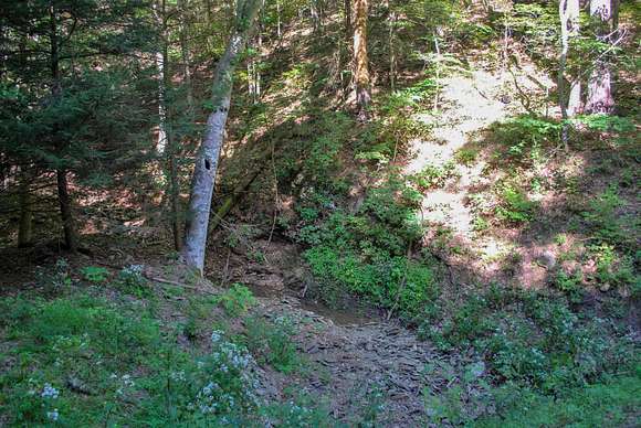 2.66 Acres of Residential Land for Sale in White Sulphur Springs, West Virginia