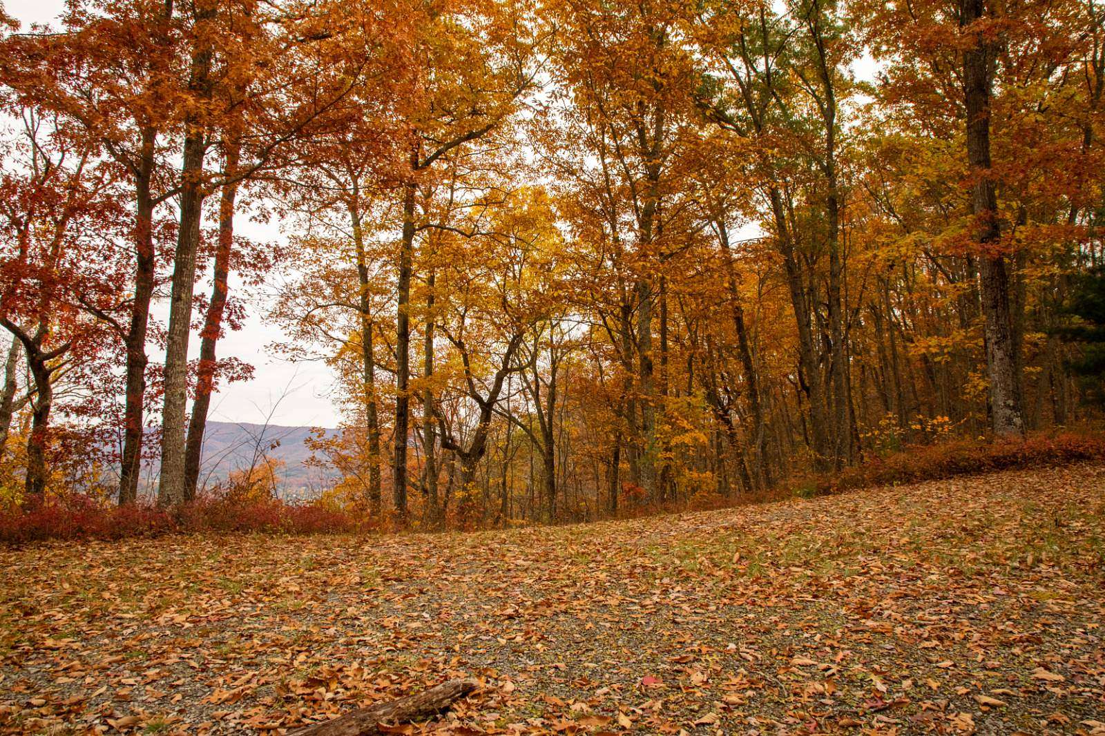 5 Acres of Residential Land for Sale in White Sulphur Springs, West Virginia