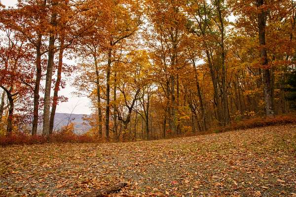 5 Acres of Residential Land for Sale in White Sulphur Springs, West Virginia