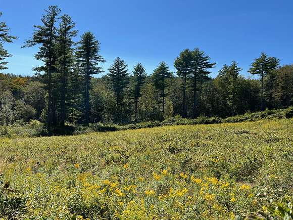 7.1 Acres of Residential Land for Sale in Woodstock, Connecticut