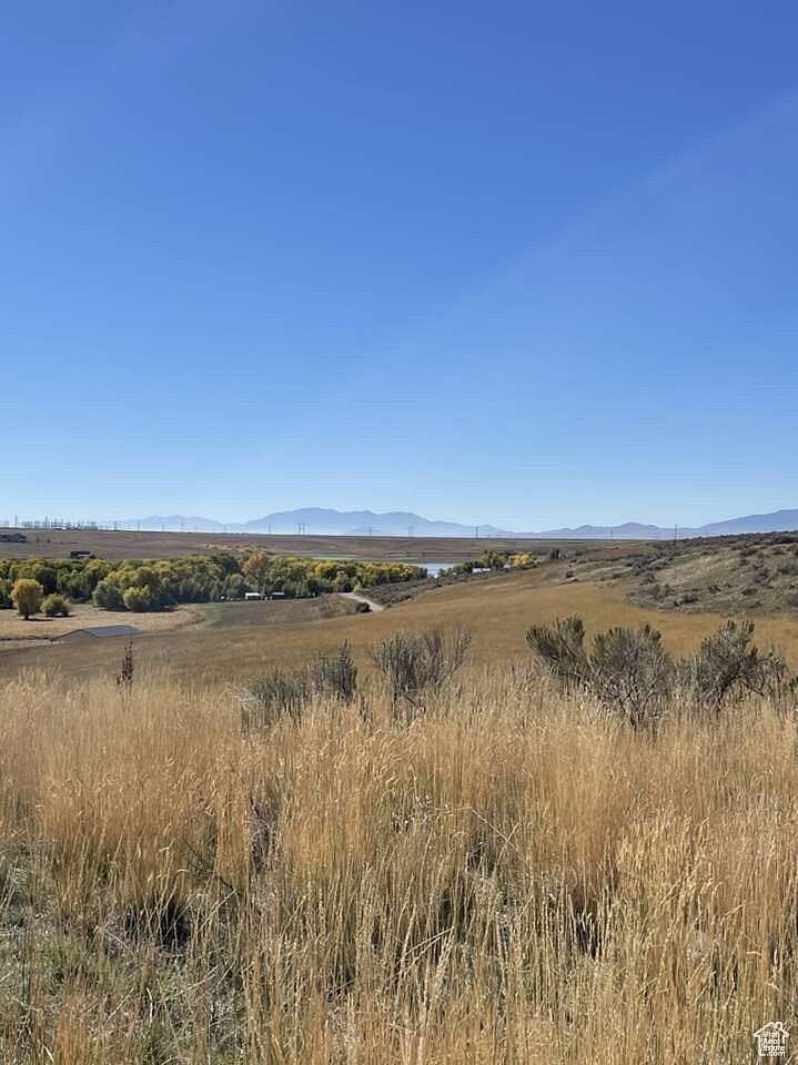 20 Acres of Agricultural Land for Sale in Preston, Idaho