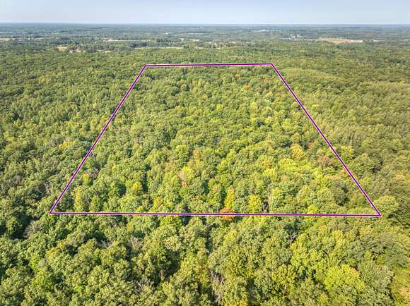 20.6 Acres of Recreational Land for Sale in Morley, Michigan